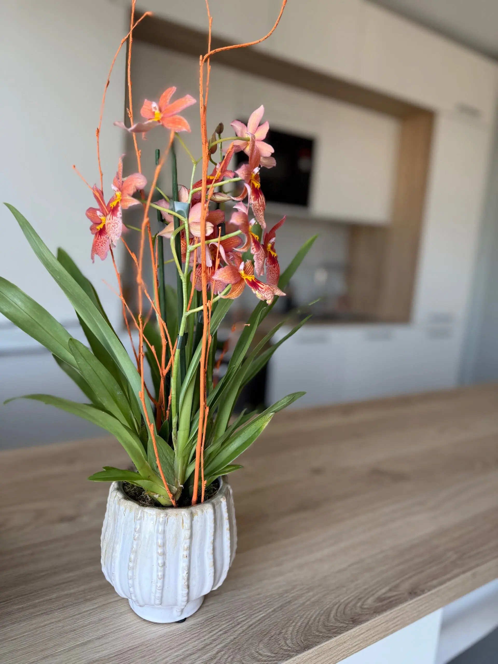 Détail décoratif sur un plan de travail en bois naturel illustrant l'ambiance chaleureuse et accueillante d'une cuisine design signée Venidom.